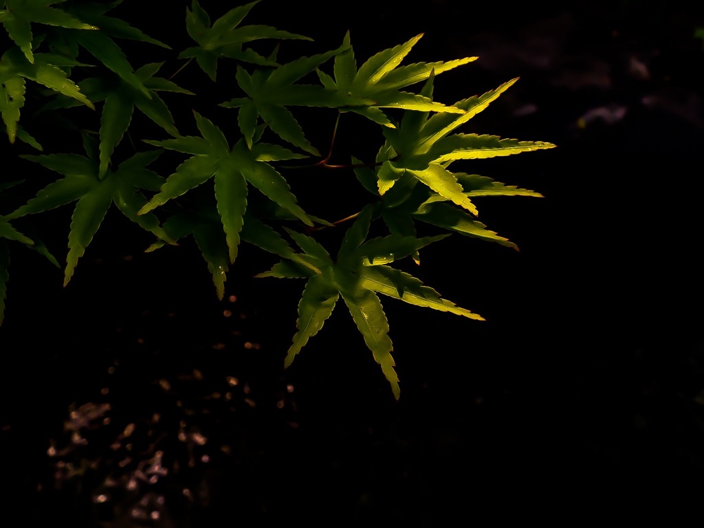 ---