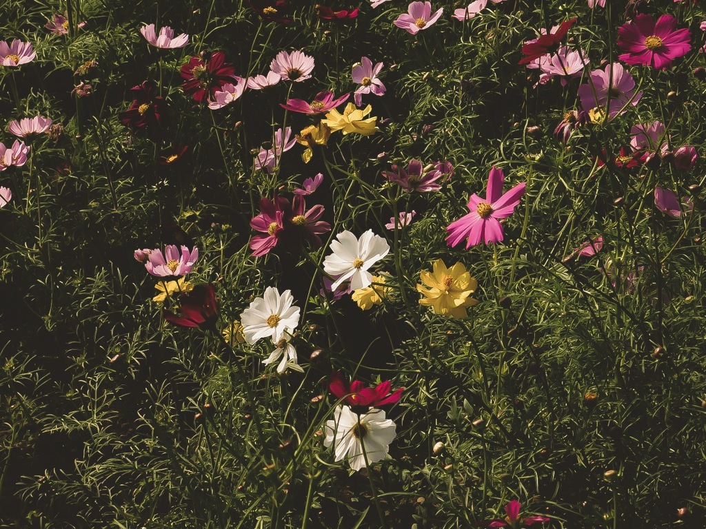 ---