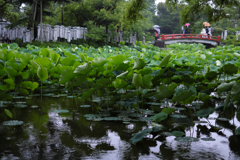 梅雨