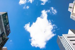 見上げれば雲