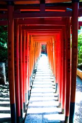 光の先には、、