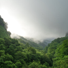 雲海の山へ