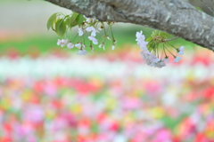 和田公園３