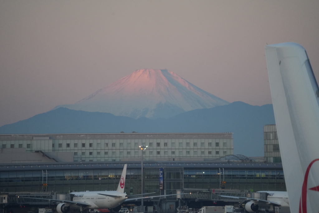 尾翼と富士山