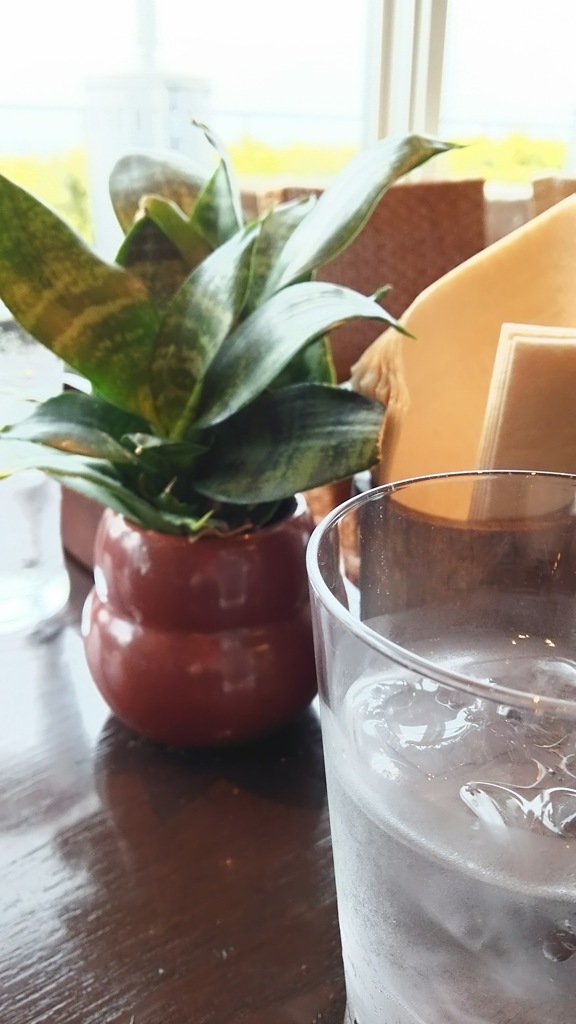 原宿のカフェにて