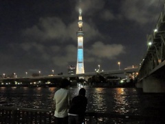 浅草から見たスカイツリー