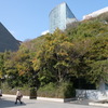 アクロス福岡