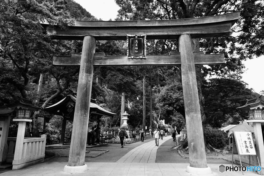 高麗神社 参道