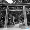 高麗神社 参道