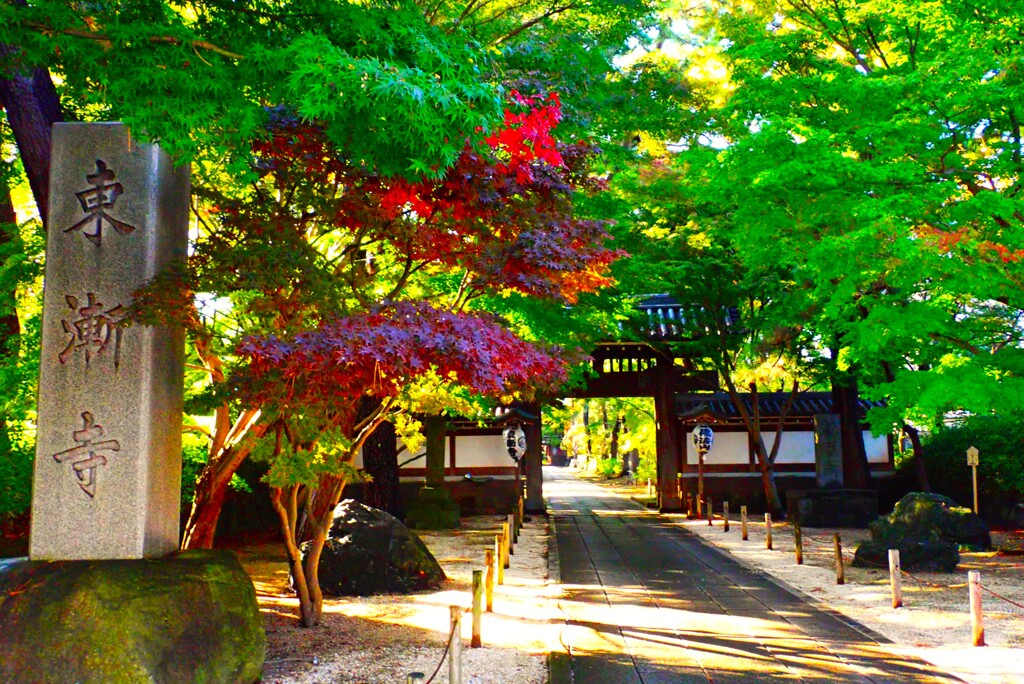 古刹の紅葉⑦(完)