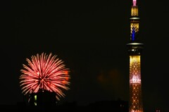 夏の夜空に輝く