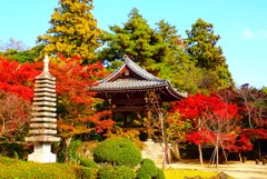古刹の紅葉②