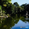散歩日和