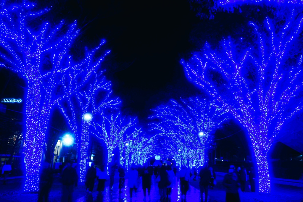 青の洞窟SHIBUYA2025②