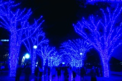 青の洞窟SHIBUYA2025②