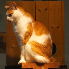 想