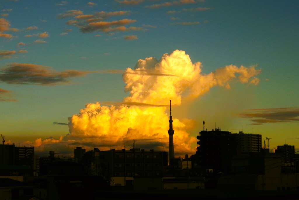 晩夏夕照