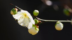 "暖”③-2