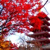 年の瀬　浅草「歳の市」④　