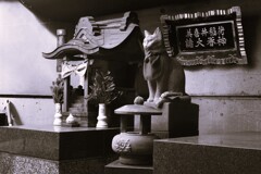 猫稲荷