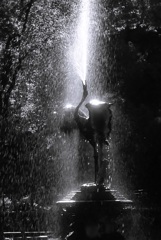 公園のシンボル