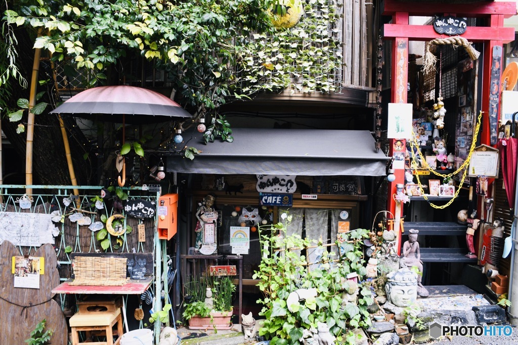 下町古民家猫カフェ