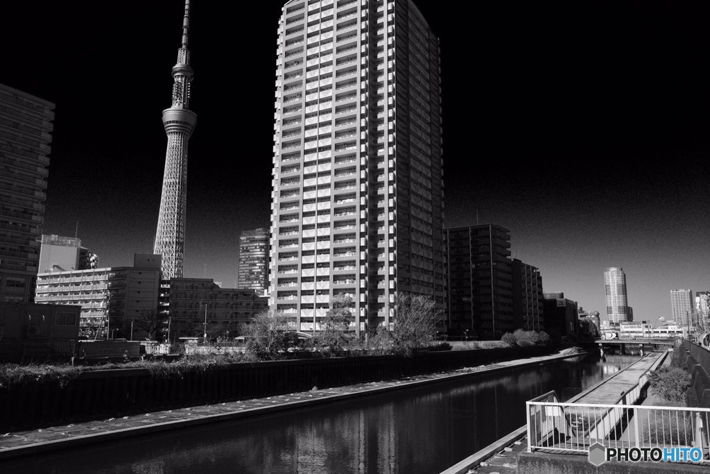 昼下がりの光景