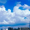 真夏の名残り