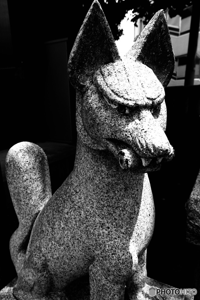 渋江白髭神社　お狐さま