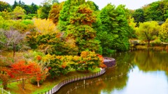 少しずつ色づき始めて 少しずつ色づき始めて