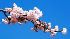 感謝