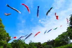 橘香る頃