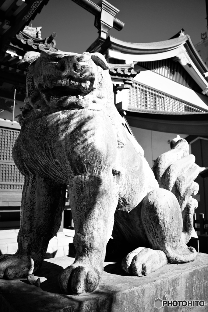 年の瀬詣り②（狛犬）