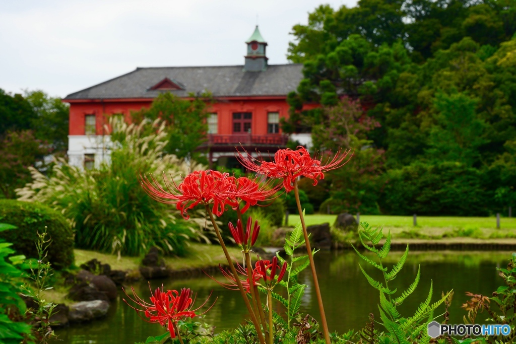 東京大学総合研究博物舘