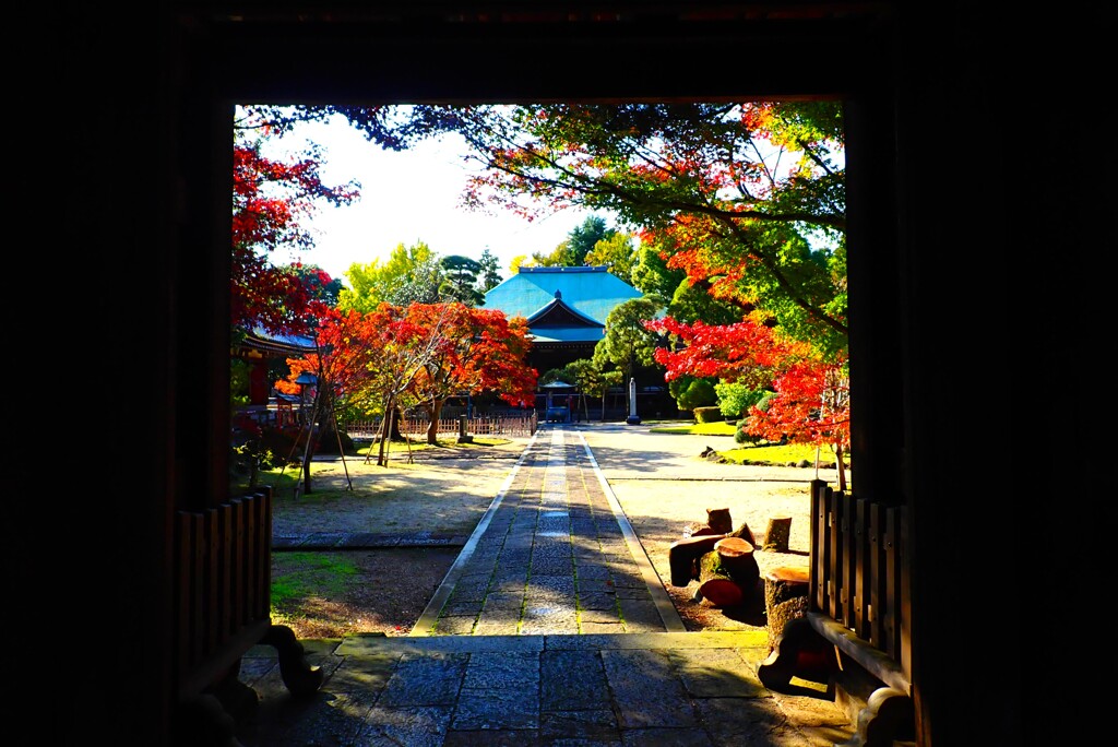 古刹の紅葉⑥