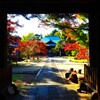 古刹の紅葉⑥