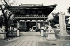 目黒不動尊瀧泉寺