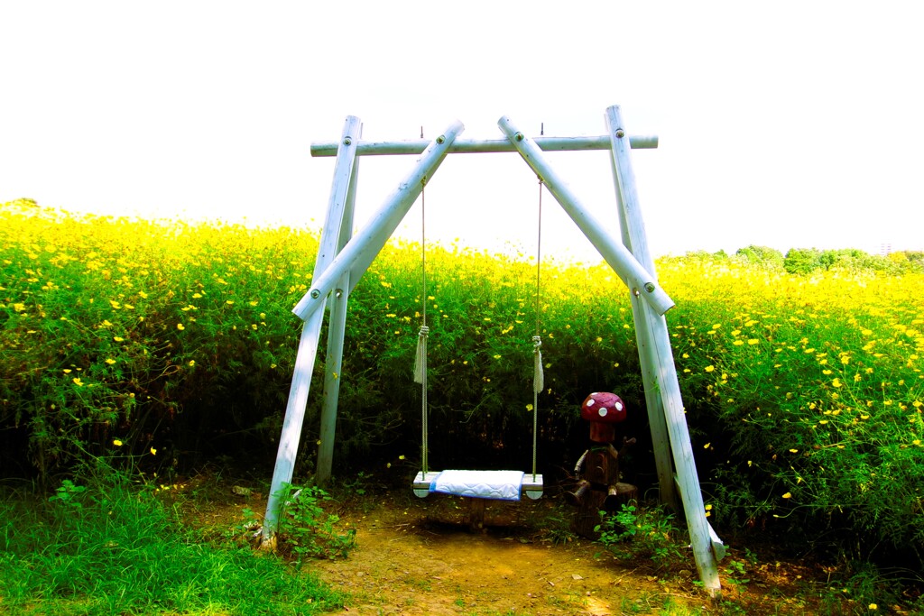 Swing