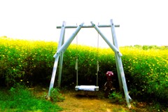 Swing