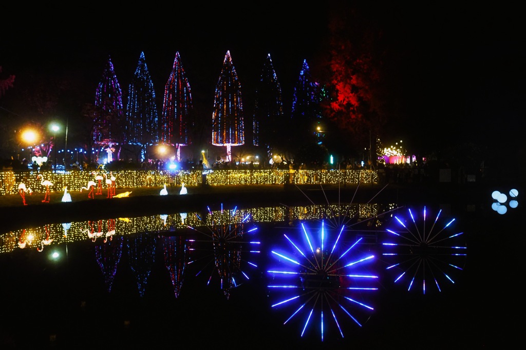 光の祭典①
