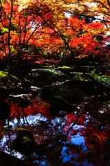 錦秋の庭園