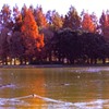 水辺にて・film