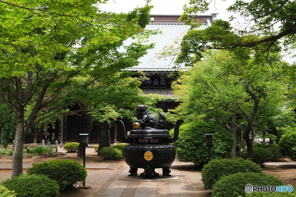 世田谷豪徳寺 香炉