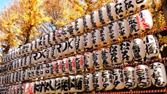 年の瀬　浅草「歳の市」①