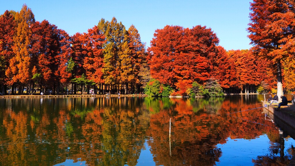映りこむ逆さ紅葉⑤