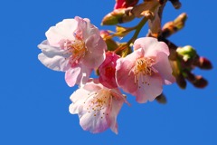 思いを託します②-2