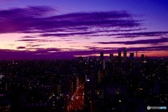 Tokyo Living Color