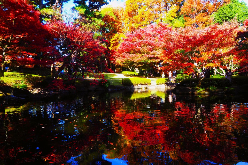 錦秋の庭園②