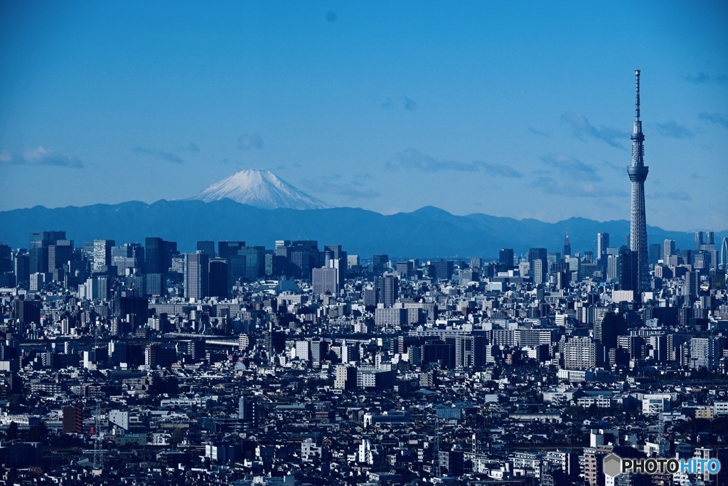 富士山遠望