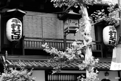 神田淡路町　老舗①